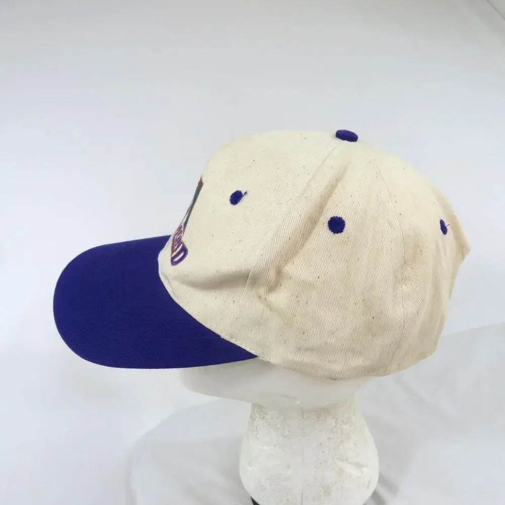 AZ Diamondbacks Hat, Baseball, Ivory Purple Green, Snapback Y2K